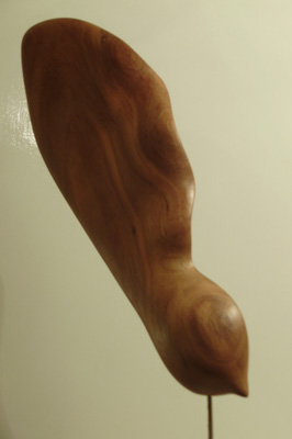 Samara, madera de timbó